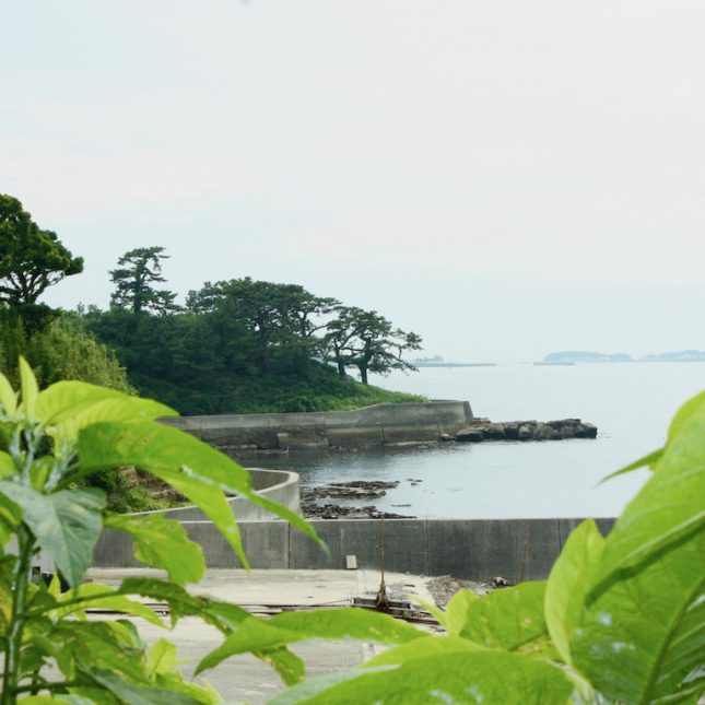 夏本番がすぐそこに！昼下がりの佐久島