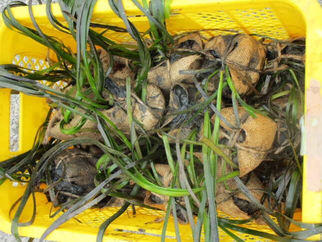 環境保全の取り組みを支援したいとお考えの方へ