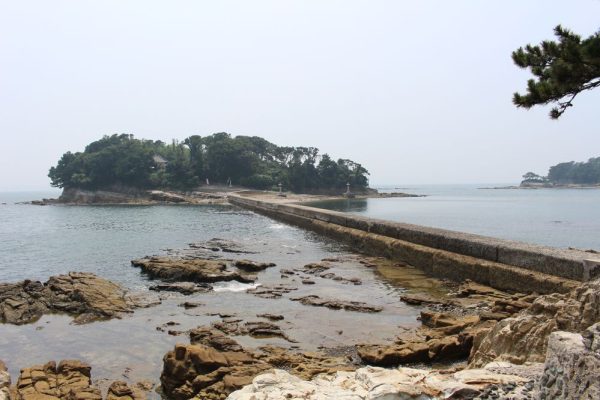 弁天の堤防-29 弁天の堤防-29