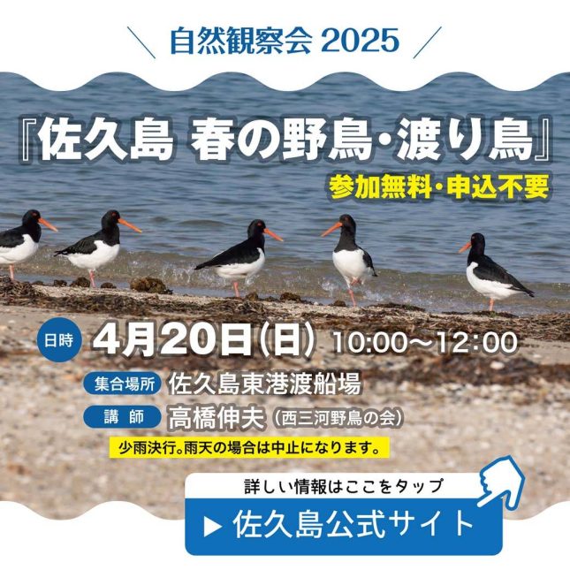 【募集中】春の野鳥観察会