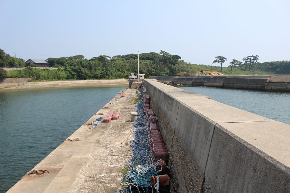 7c0a86006bb2d9818fe7eddc74efc9