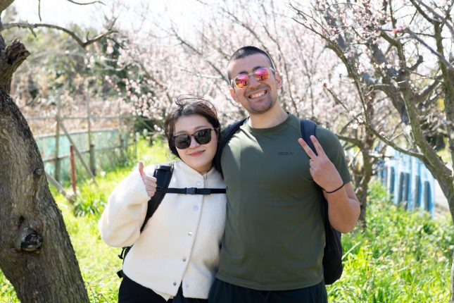 サクシマ楽しんでますか？