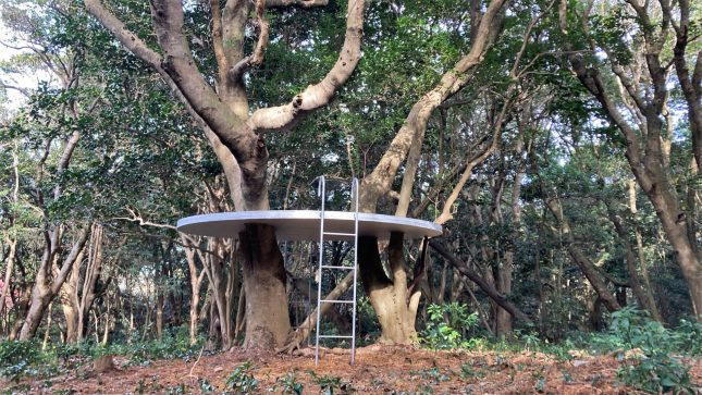 ツリーハウスプロジェクト 期間限定公開中