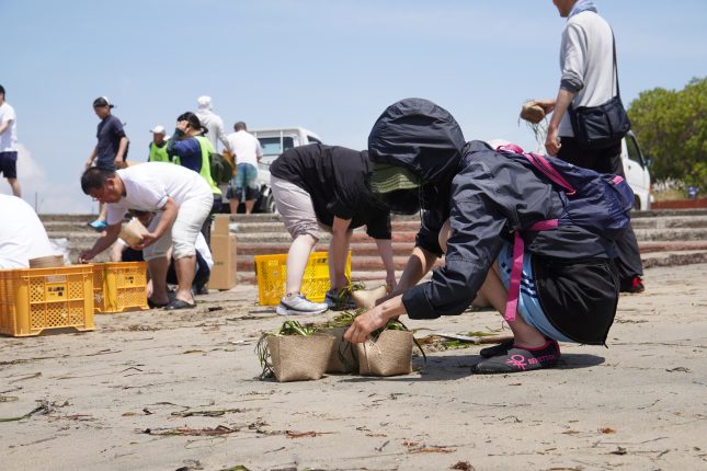 【募集終了】アマモボランティア参加者募集
