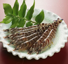 �N���}�G�r