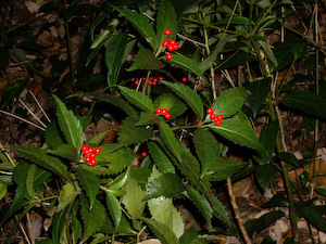 �Z�������E